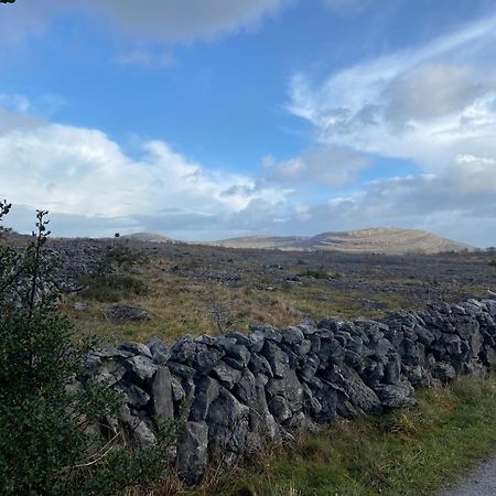 Burren Garden Glamping Hut Villa Boston Eksteriør bilde